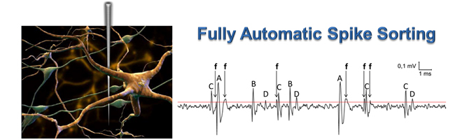 Automatic Spike Sorting